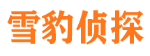 霍城市侦探公司